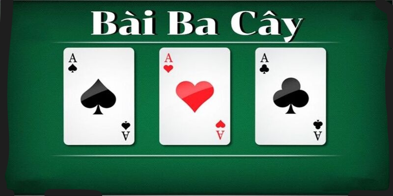 Tìm hiểu về bài 3 cây