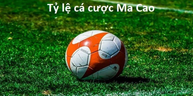 Bật mí tỷ lệ cá cược Macao