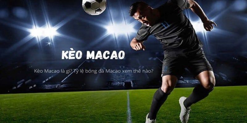 Định nghĩa tỷ lệ cá cược macao