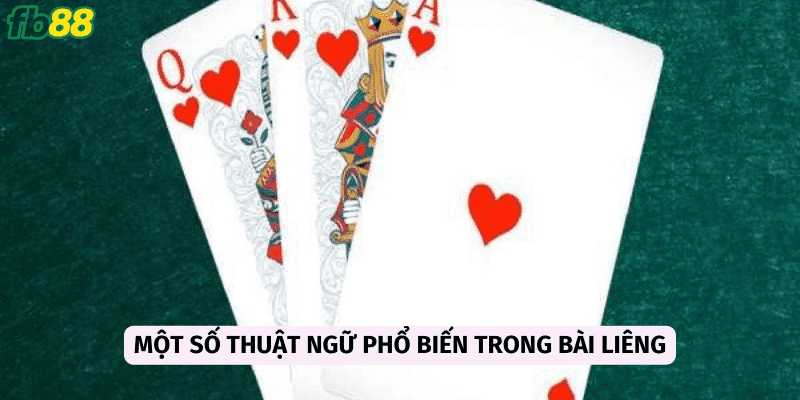 Những thuật ngữ mà anh em nên nắm vững