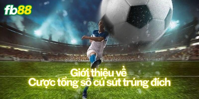 Giới thiệu về Cược tổng số cú sút trúng đích