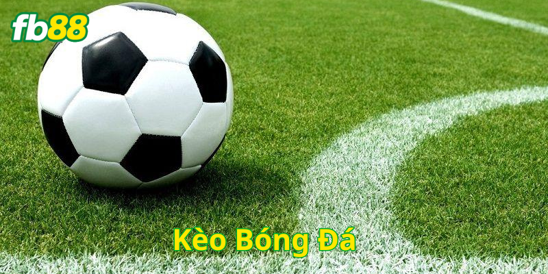 Kèo Bóng Đá và những lưu ý quan trọng