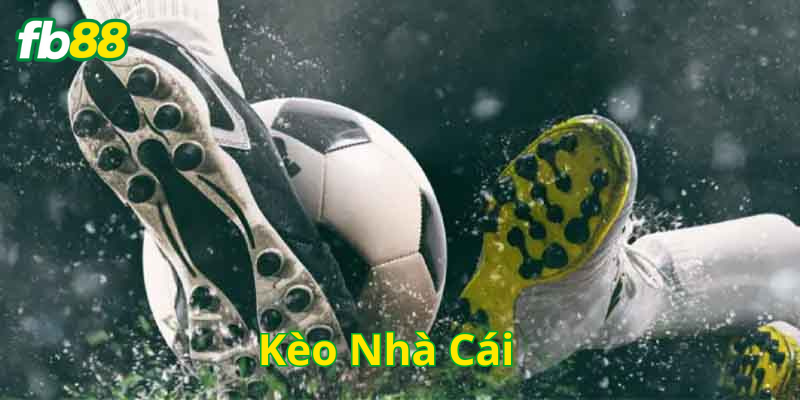 Lưu ý quan trọng về Kèo Nhà Cái