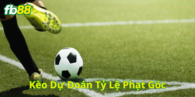 Bí quyết Kèo Dự Đoán Tỷ Lệ Phạt Góc