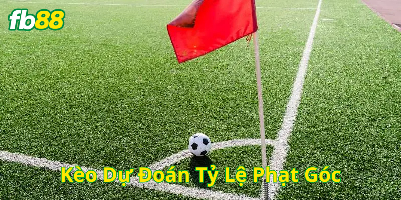 Các loại Kèo Dự Đoán Tỷ Lệ Phạt Góc dễ chơi