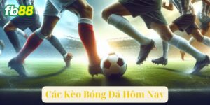 Khám Phá Các Kèo Bóng Đá Hôm Nay: Dự Đoán Và Chiến Lược Cược