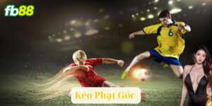 Kèo Phạt Góc: Cách Chơi Thắng Lớn, Ai Cũng Làm Được!