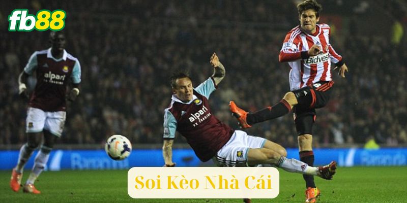 Những sai lầm cần tránh khi soi kèo nhà cái