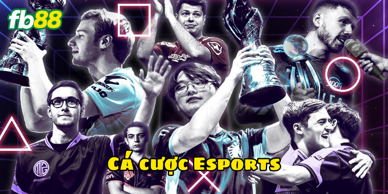 Cá cược Esports có những loại game nào?