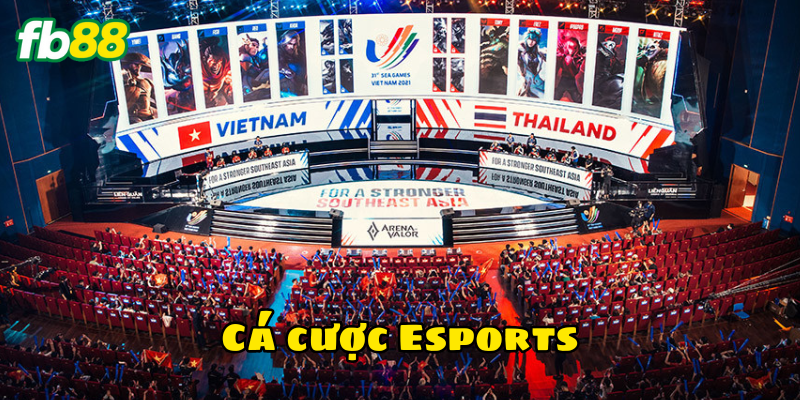 Cá cược Esports là gì?