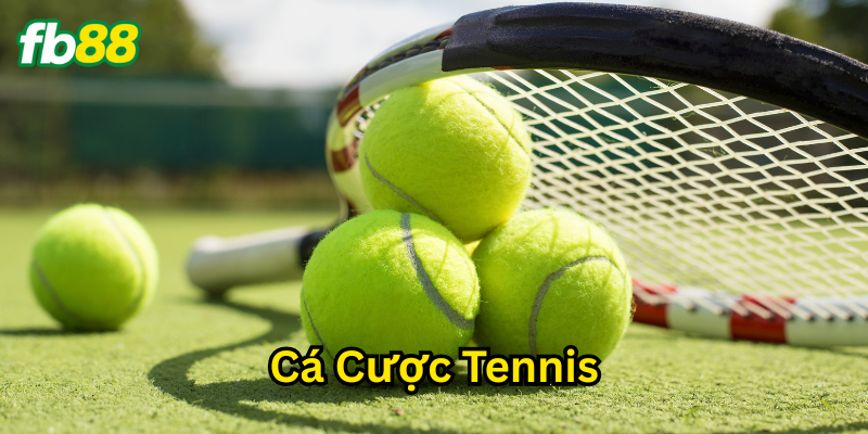 Cá Cược Tennis có gì hấp dẫn