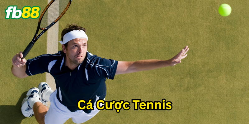 Cá Cược Tennis là gì? 