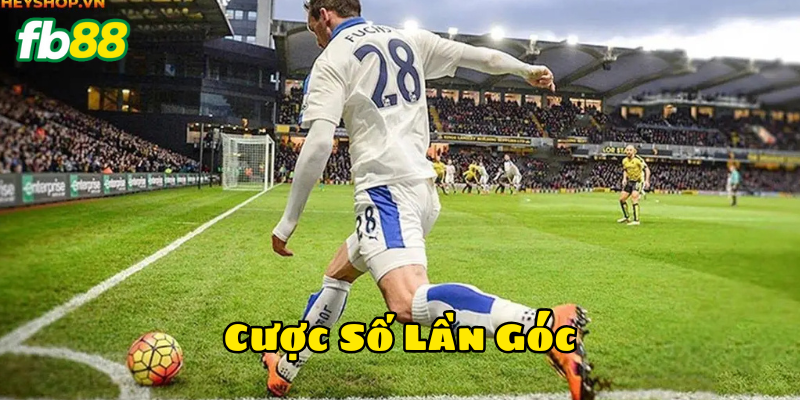 Mẹo Cược Số Lần Góc hiệu quả