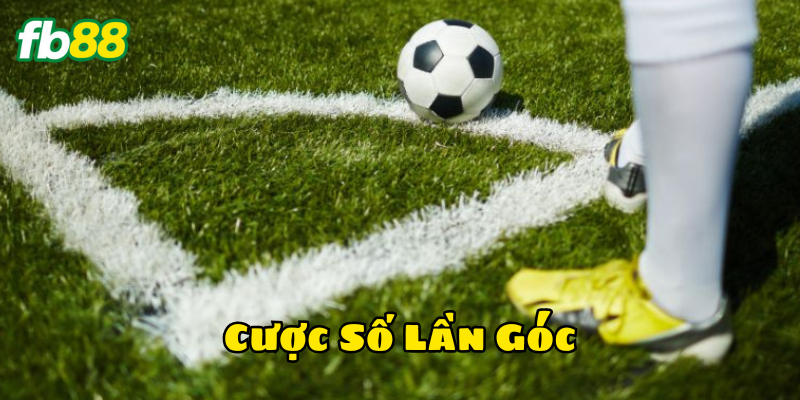 Cược Số Lần Góc nghĩa là gì? 