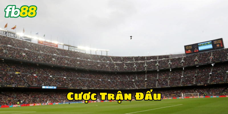 Tỷ lệ Cược Trận Đấu có gì đặc biệt 